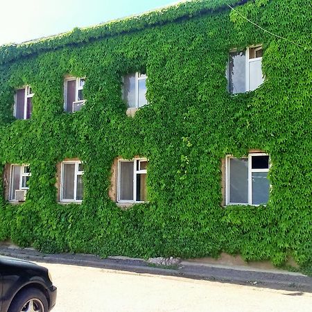 Hotel Lilo Near Airport Tbilisi Eksteriør billede