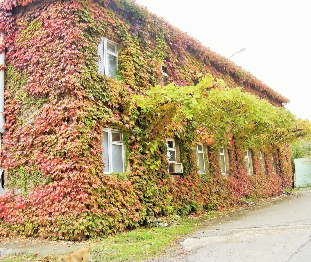 Hotel Lilo Near Airport Tbilisi Eksteriør billede